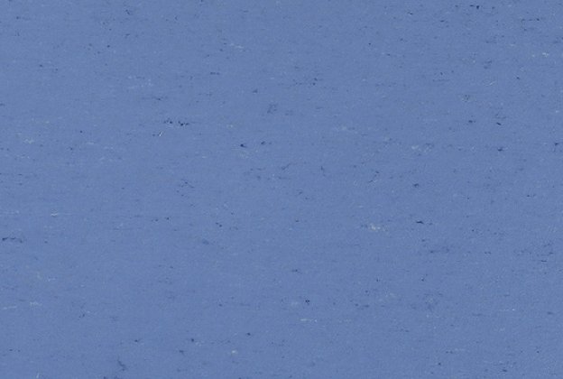 Linoleumi 0004 Bluebird_1