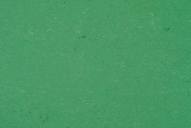 Linoleum 0006 Vivid Green_1