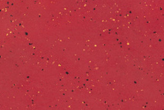 Linoleum 0015 Glaring Red_1