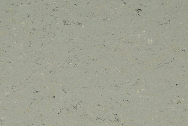 Linoleum Gerflor DLW Colorette 0058 Aluminium Grey hall_1