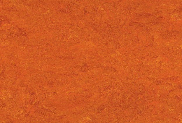 Linoleum 0117 Mandarin Orange_1