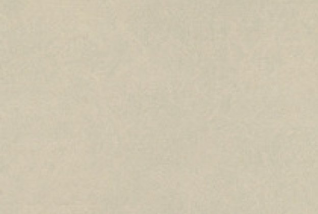 Linoleum 0251 Krem_1