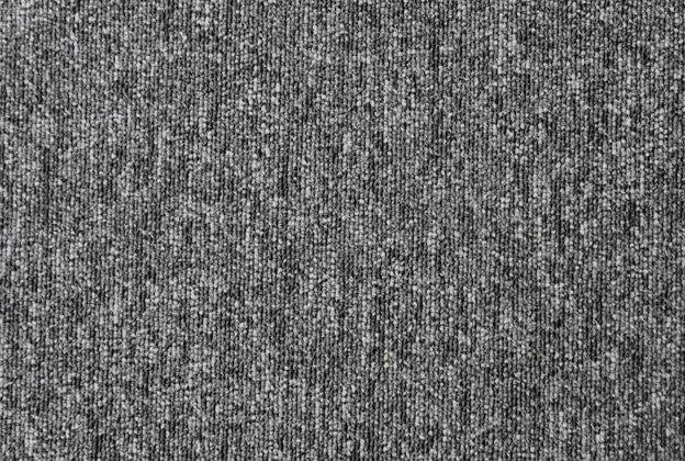 Plaatvaip Paragon Loop Pile DIVERSITY Lupus Grey 811 hall_1