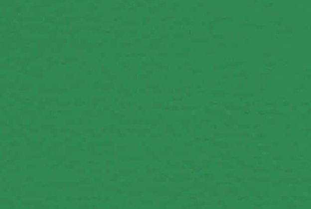 Sportpõrand Gerflor Taraflex Recreation 60, 6563 Menta roheline _1