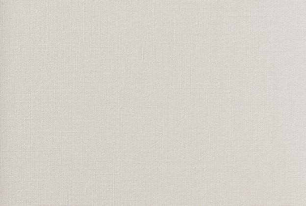 Vinüülseinakate Vescom Rainy 1058.12 valge_1