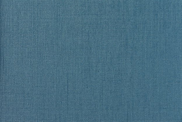 Vinüülseinakate Vescom Rainy 1058.24 roheline/sinine_1