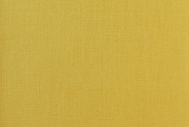 Vinüülseinakate Vescom Rainy 1058.26 sinepikollane_1