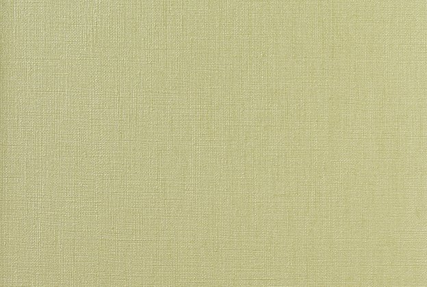 Vinüülseinakate Vescom Rainy 1058.31 roheline_1