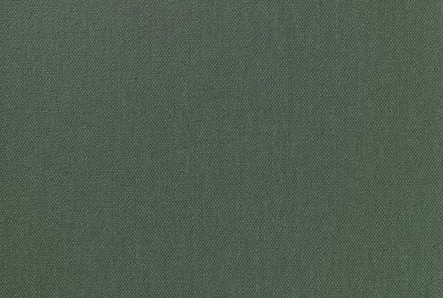 Vinüülseinakate Vescom Albert 1103.02 roheline _1