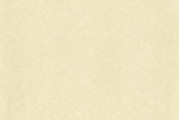 Vinüülseinakate Muraspec Swirled fibres -P4075 beeź_1