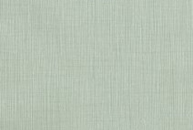 Vinüülseinakate Muraspec Warwick 10825 roheline_1