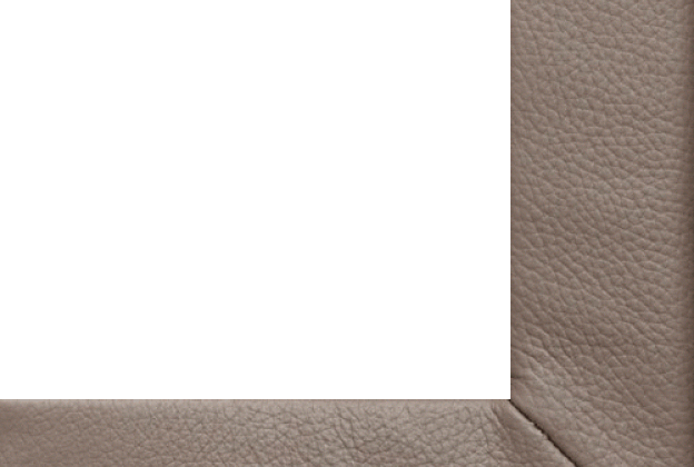 Vaiba ääristus Leather 712 - taupe pruun_1