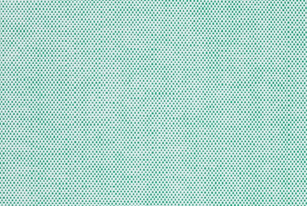 Vinüülseinakate Vescom Xorel Meteor 2549.49 roheline_1