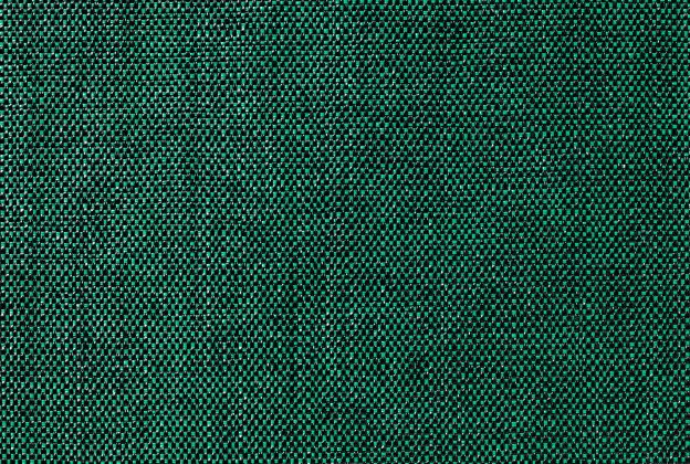 Vinüülseinakate Vescom Xorel Meteor 2549.57 roheline_1