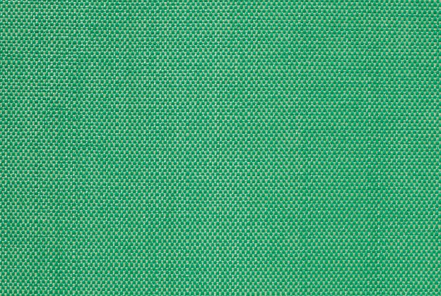 Vinüülseinakate Vescom Xorel Meteor 2549.61 roheline_1