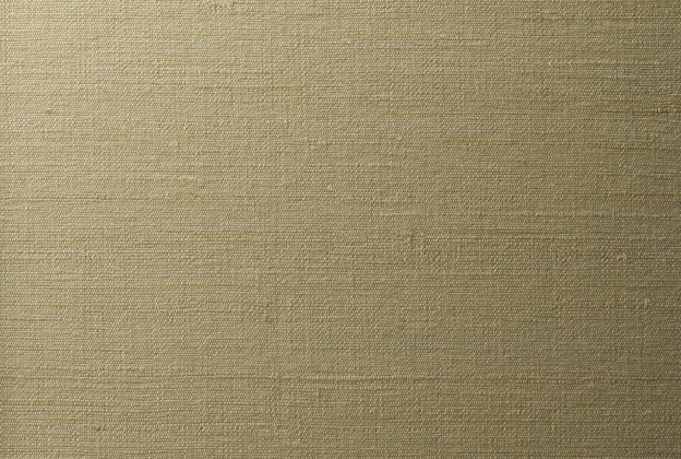 Tekstiiltapeet Vescom Silk Orissa 2615.24 pruun_1