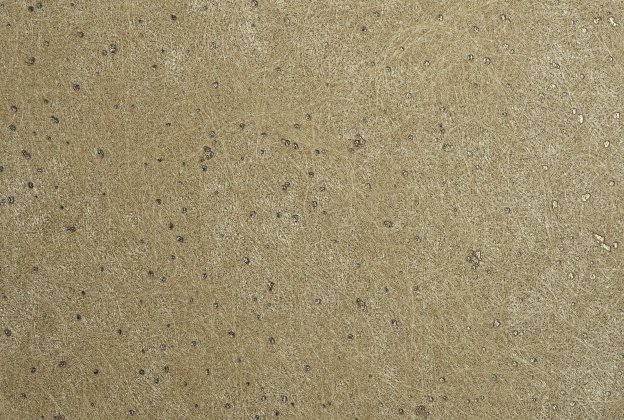 Tekstiiltapeet Vescom Woodpulp Montado 2617.24 pruun_1