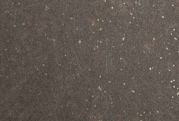 Tekstiiltapeet Vescom Woodpulp Montado 2617.29 pruun_1