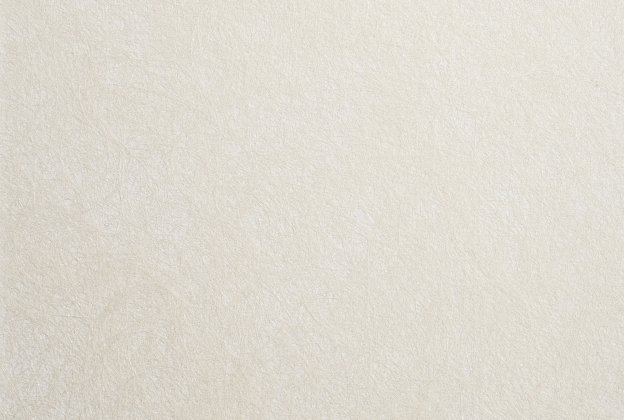 Tekstiiltapeet Vescom Woodpulp Corona 2618.11 valge_1