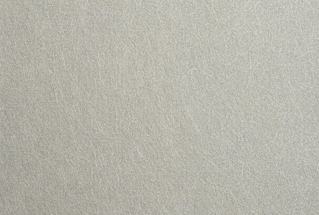 Tekstiiltapeet Vescom Woodpulp Corona 2618.17 hall_1