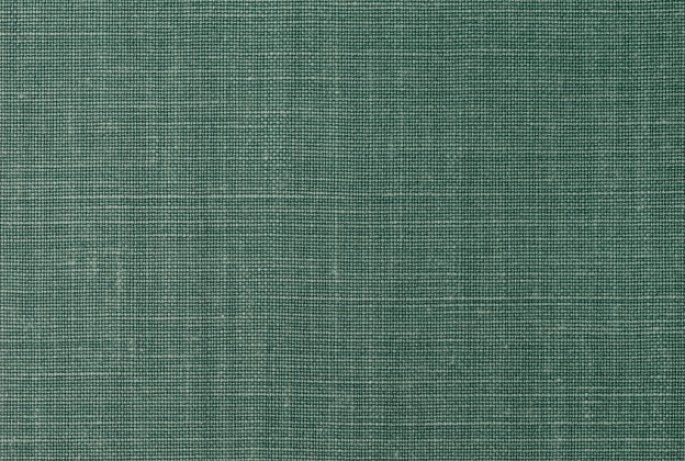 Tekstiiltapeet Vescom Linen Luxolin 2620.10 roheline_1