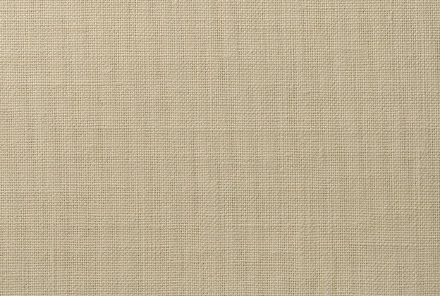 Tekstiiltapeet Vescom Linen Linum 2620.33 beeź _1