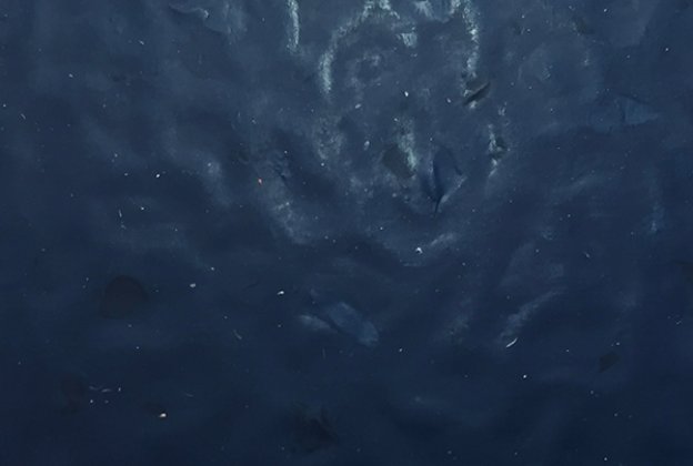 Kummipõrand Studway Duofloor plaat DF125 sinine_1