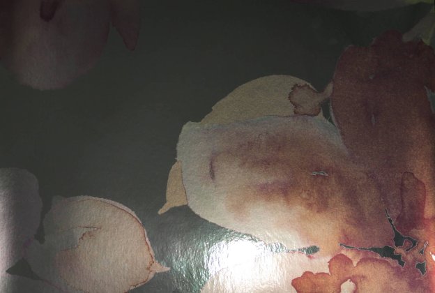 Vinüülseinakate Muraspec Florals & Botanics -LTD00483 Taimed  _1