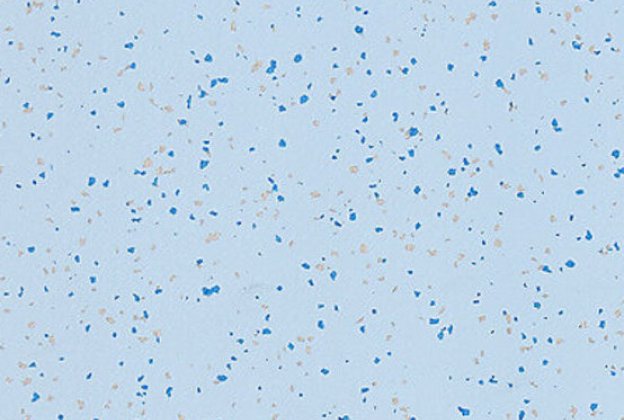 PVC kommersiella utrymme 4496 Light Sapphire_1