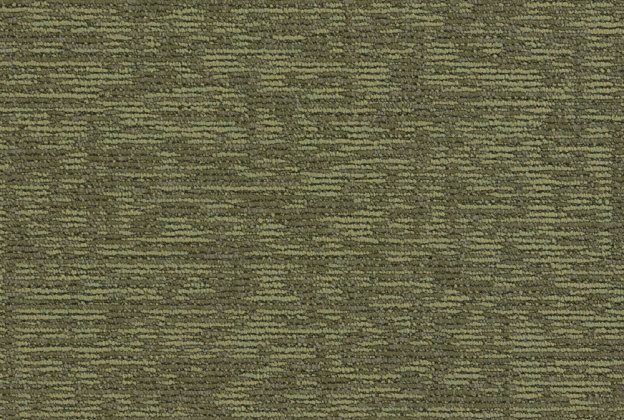 Plaatvaip Paragon Hornbeam, Broadleaf Oak, 501243 roheline_1