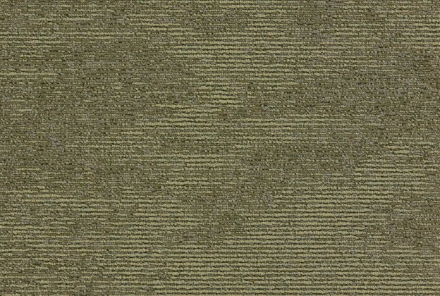 Plaatvaip Paragon Elemental Heathstar, Rustic Moss, 501242 roheline_1