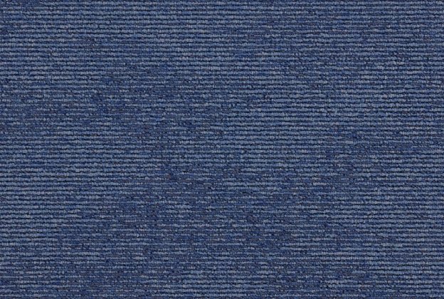 Plaatvaip Paragon Elemental Heathstar, Wildflower Blue, 612152 sinine_1