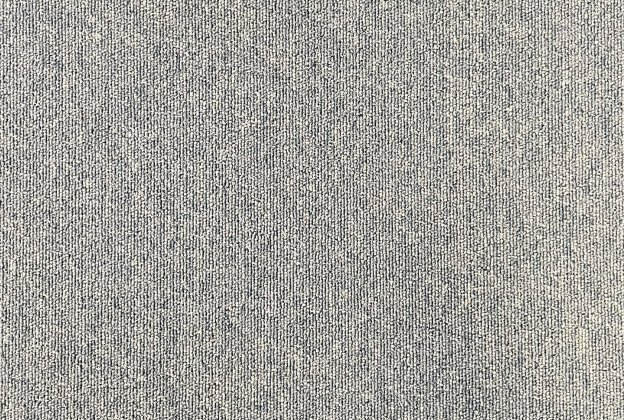 Plaatvaip Paragon Loop Pile Vital Zircon, 6890 hall_1