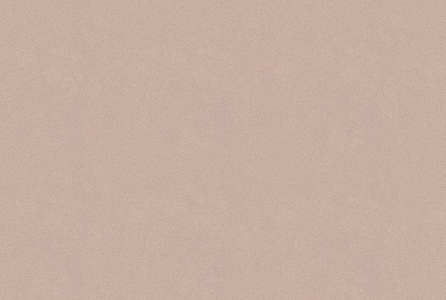 Vinüülseinakate Vescom Colour Choice 1056.028 beeź _1