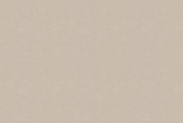 Vinüülseinakate Vescom Colour Choice 1056.060 beeź  _1