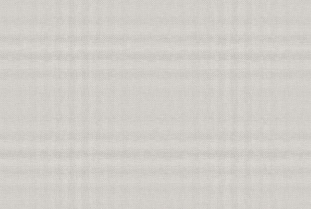 Vinüülseinakate Vescom Xorel Strie 2550.17 valge/ beeź_1