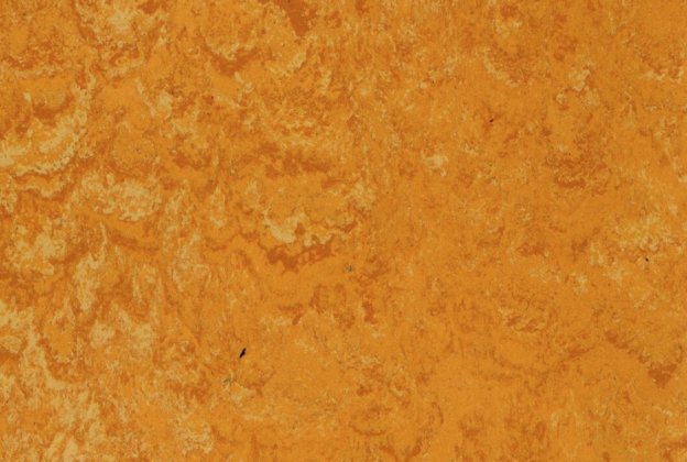 Linoleum Gerflor DLW LINODUR 1072 PEACH ORANGE oranž_1