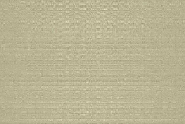 Vinüülseinakate Vescom Xorel Strie 2550.02 roheline_1