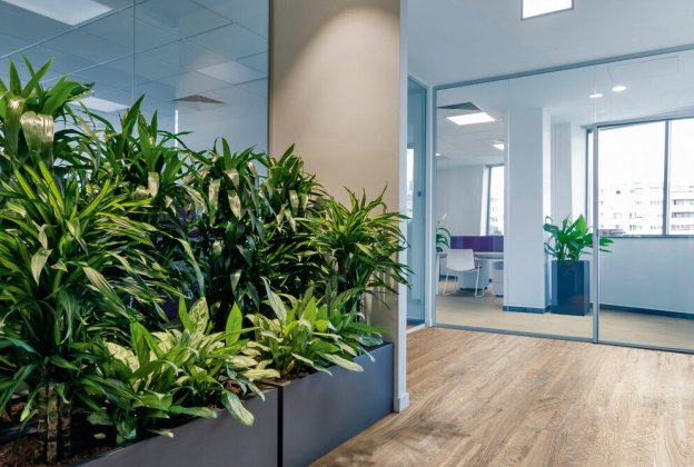 Akustiline PVC Gerflor Taralay Impression Hop Acoustic 1104 Wood Fusion Nature pruun_2