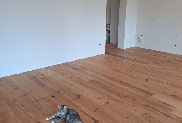 PARQUET 1-ply table parquet oak Various, matt lacquer - Cloned_2