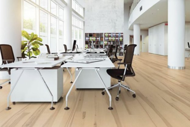 PARQUET 1-Lip island Basic Superbainco_2