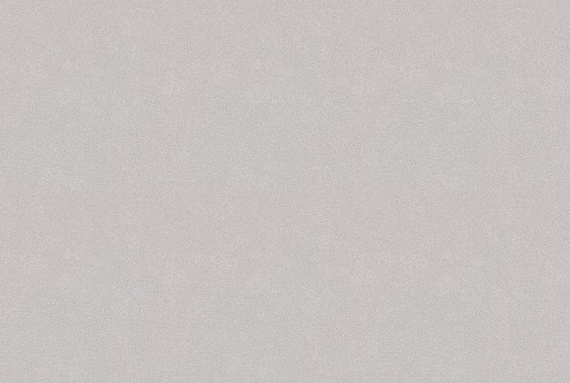 Vinüülseinakate Vescom Colour Choice 1056.068 valge/ beeź  _1