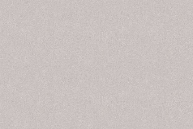 Vinüülseinakate Vescom Colour Choice 1056.081 valge/ beeź_1