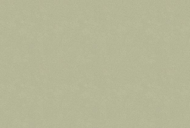 Vinüülseinakate Vescom Colour Choice 1056.131 roheline_1