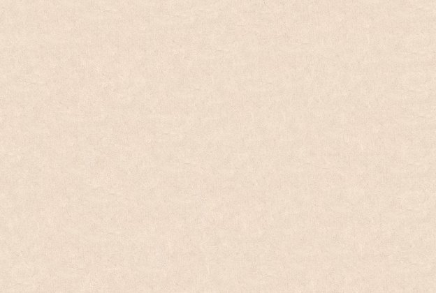 Vinüülseinakate Vescom Pleso 1026.05 beeź_1