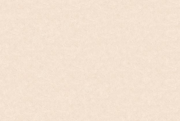 Vinüülseinakate Vescom Pleso 1026.11 beeź  _1