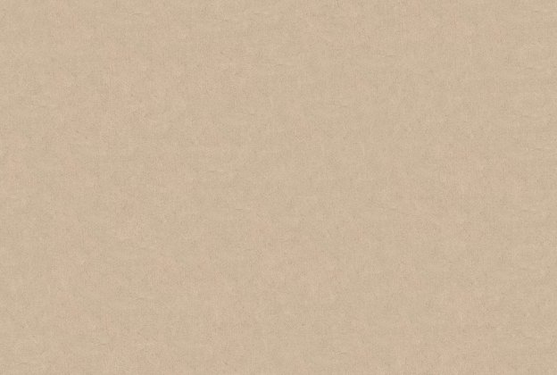 Vinüülseinakate Vescom Pleso 1026.13 beeź  _1