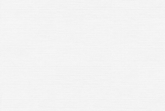 Vinüülseinakate Vescom Sagara 1106.04 valge_1