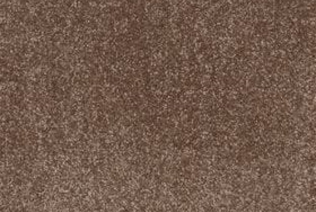 Nailonvaip AW Carpets, Sensualité Sonrisa 43 pruun_1