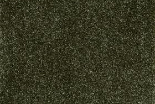 Nailonvaip AW Carpets, Sensualité Superbe 29 roheline_1